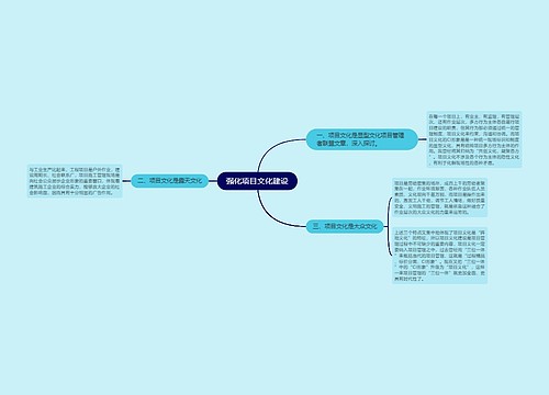 强化项目文化建设
