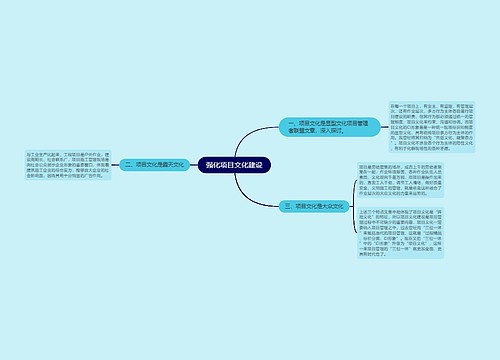 强化项目文化建设