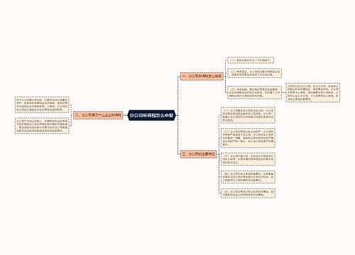 分公司所得税怎么申报