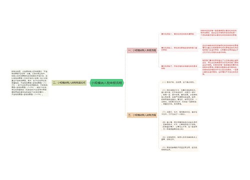 小规模纳人税申报流程