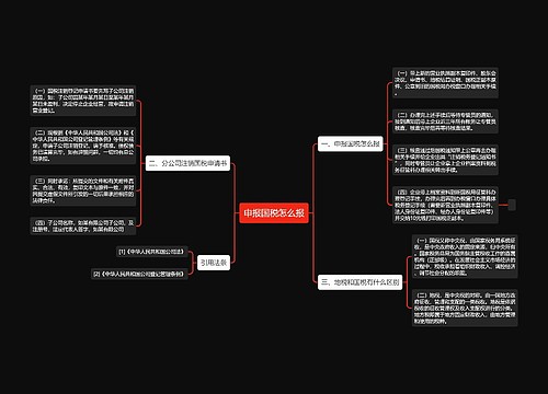 申报国税怎么报