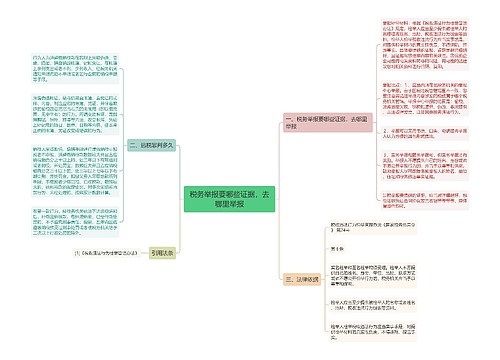 税务举报要哪些证据，去哪里举报