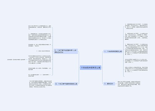 个体纳税申报表怎么填