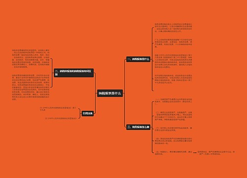 纳税报表是什么