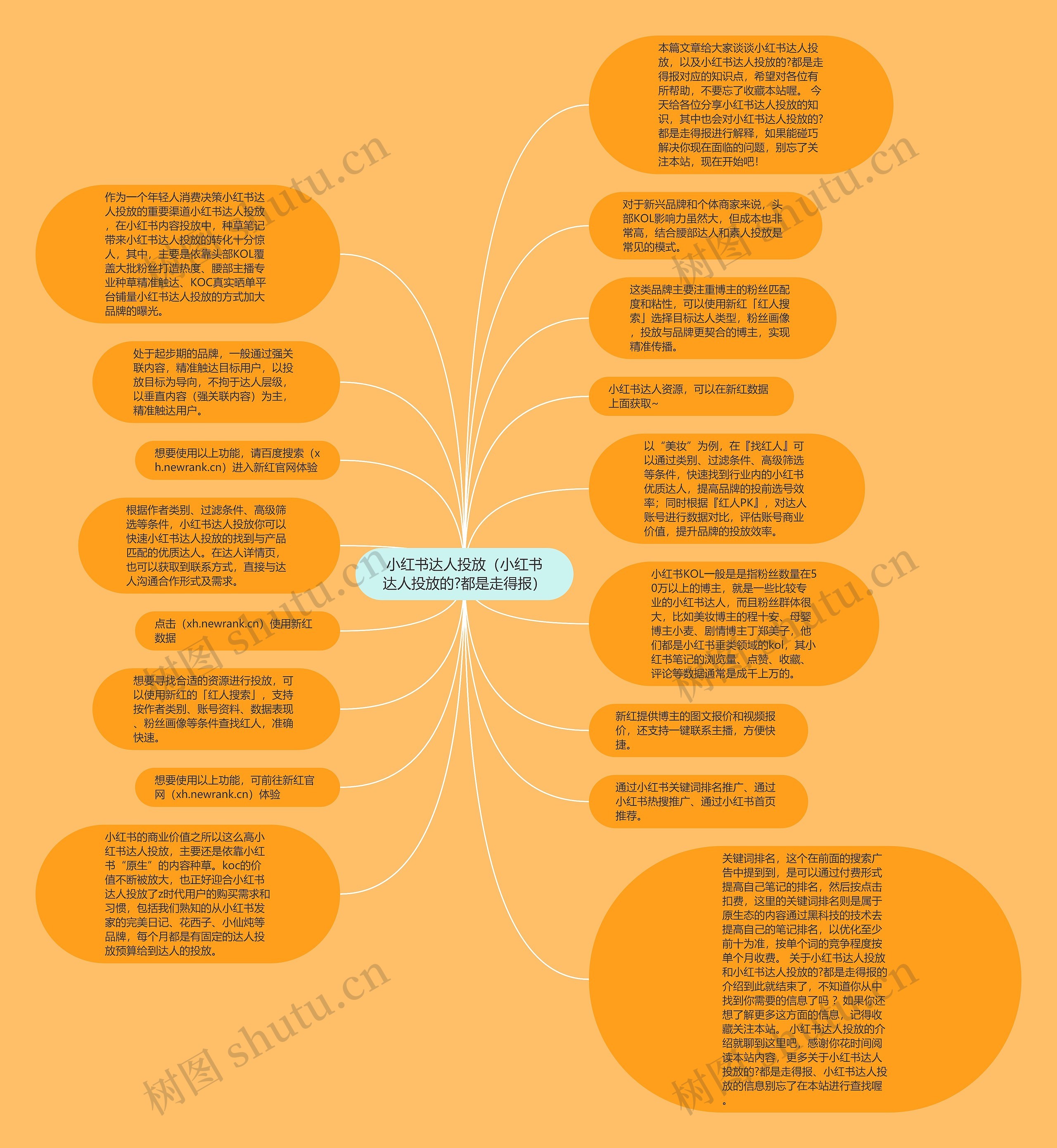 小红书达人投放（小红书达人投放的?都是走得报）思维导图