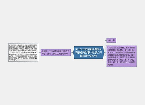 关于对江苏某股份有限公司及相关当事人给予公开谴责处分的公告