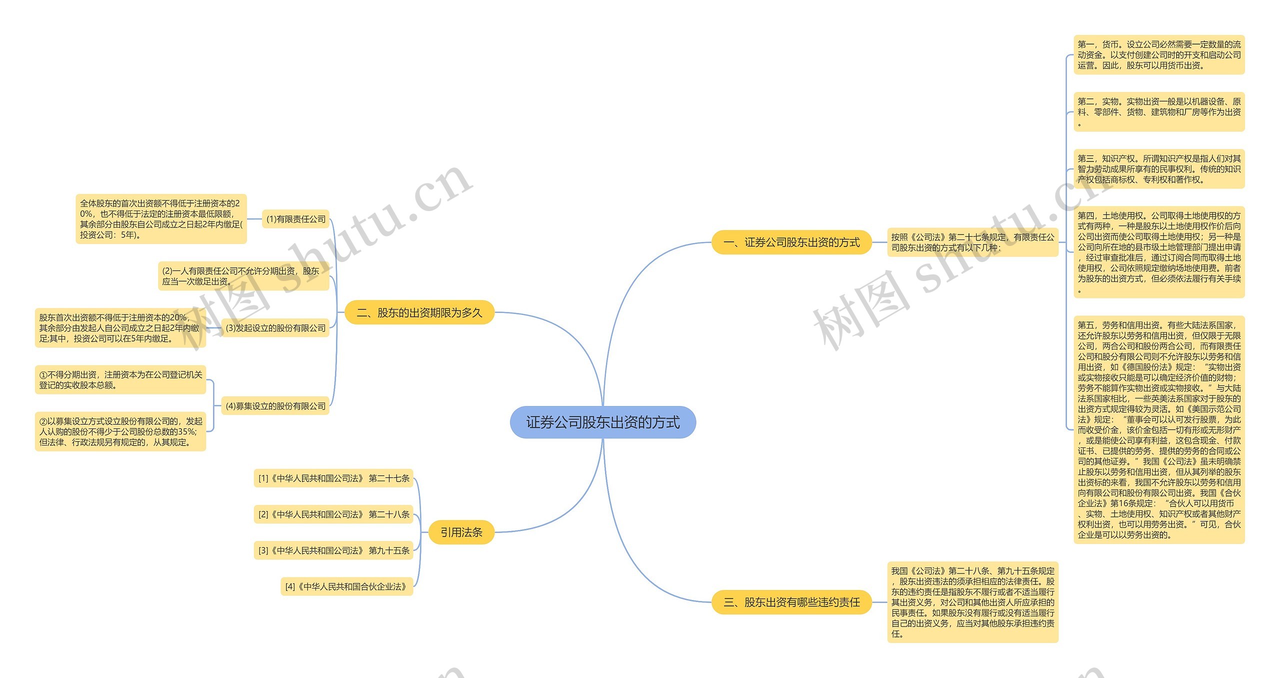 证券公司股东出资的方式