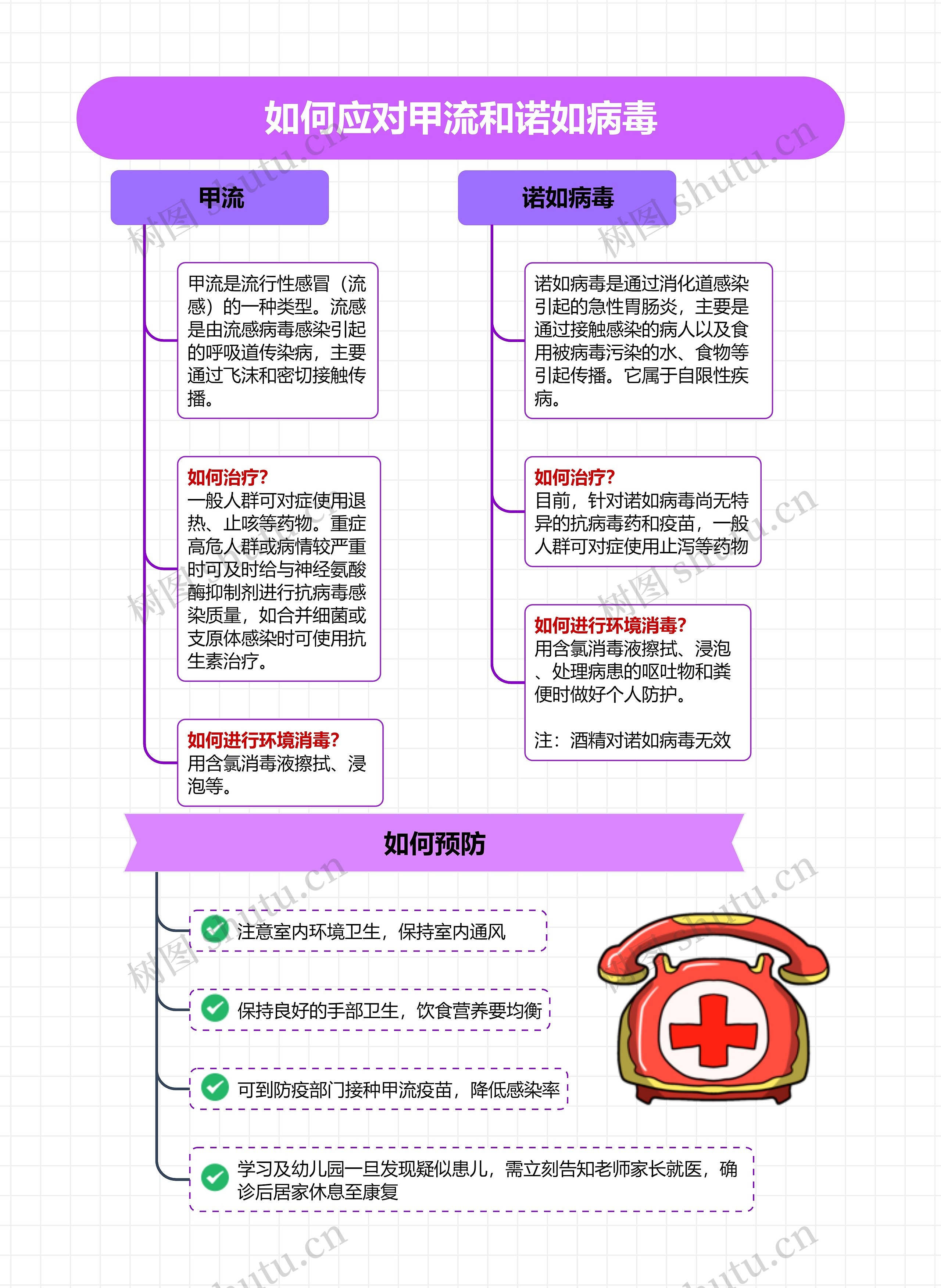 如何应对甲流和诺如病毒思维导图