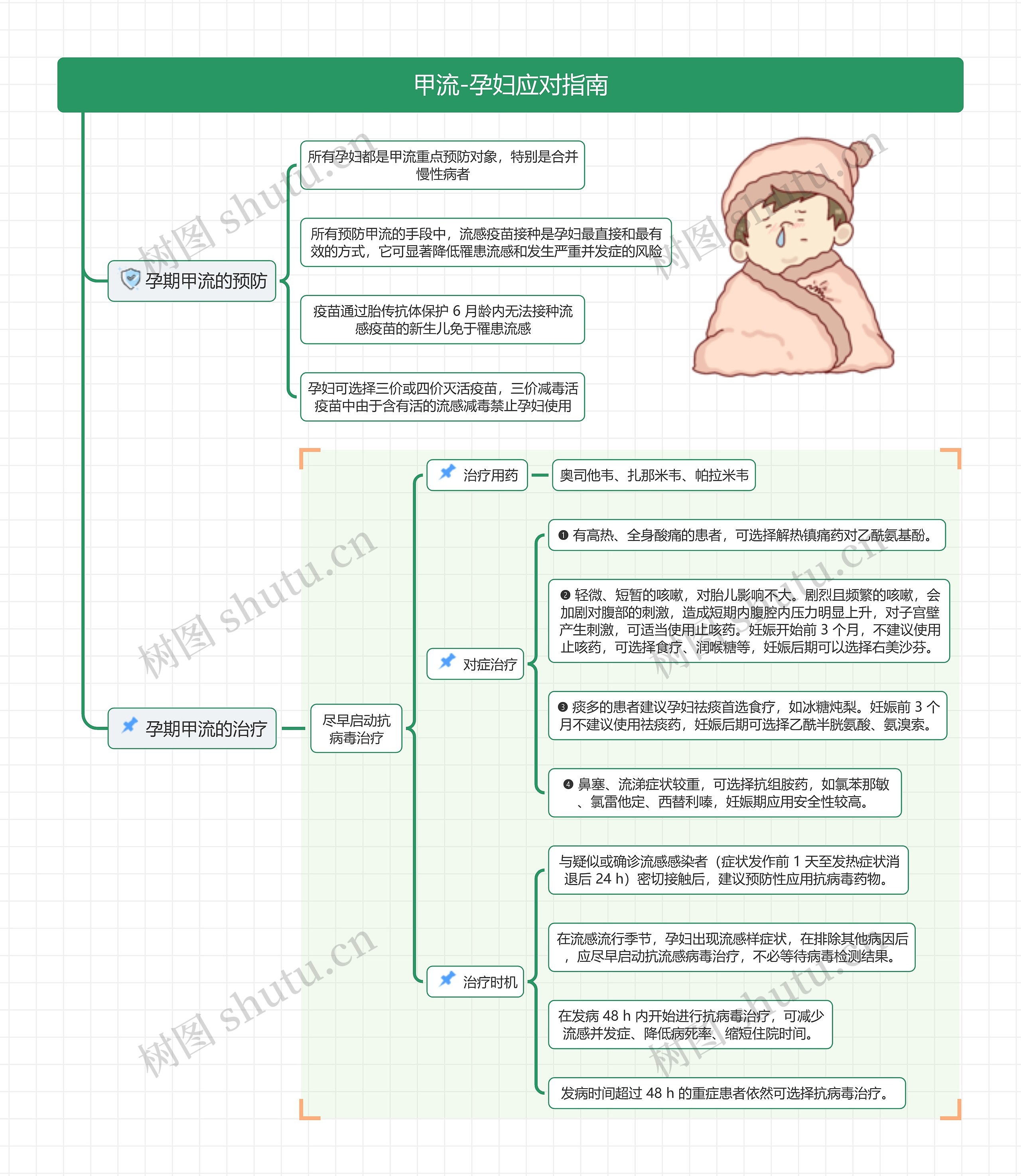 甲流-孕妇应对指南思维导图