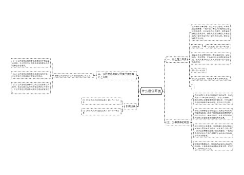 什么是公开债