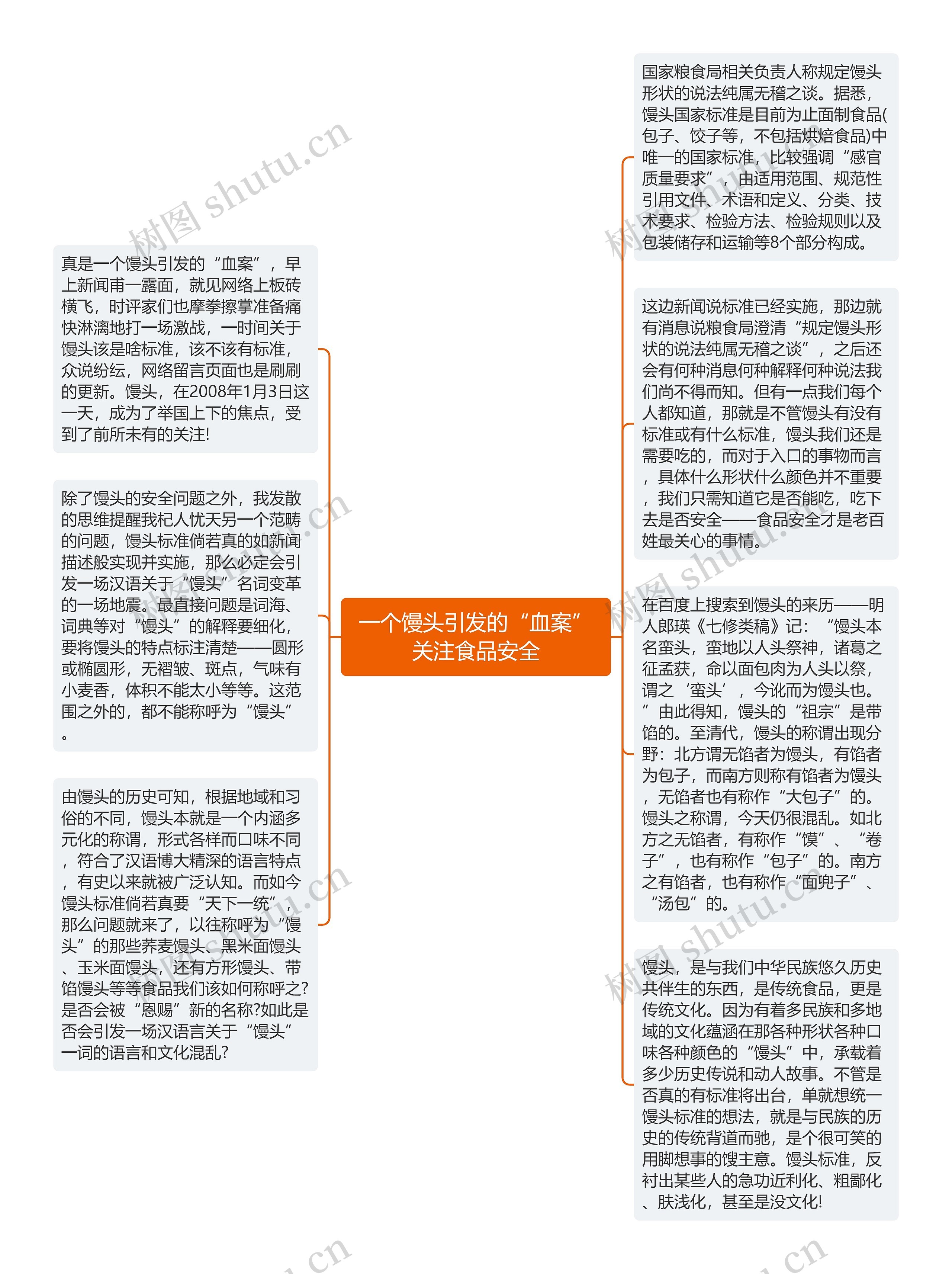 一个馒头引发的“血案”关注食品安全思维导图