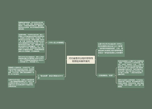 河北省首次以组织领导传销罪起诉案件宣判