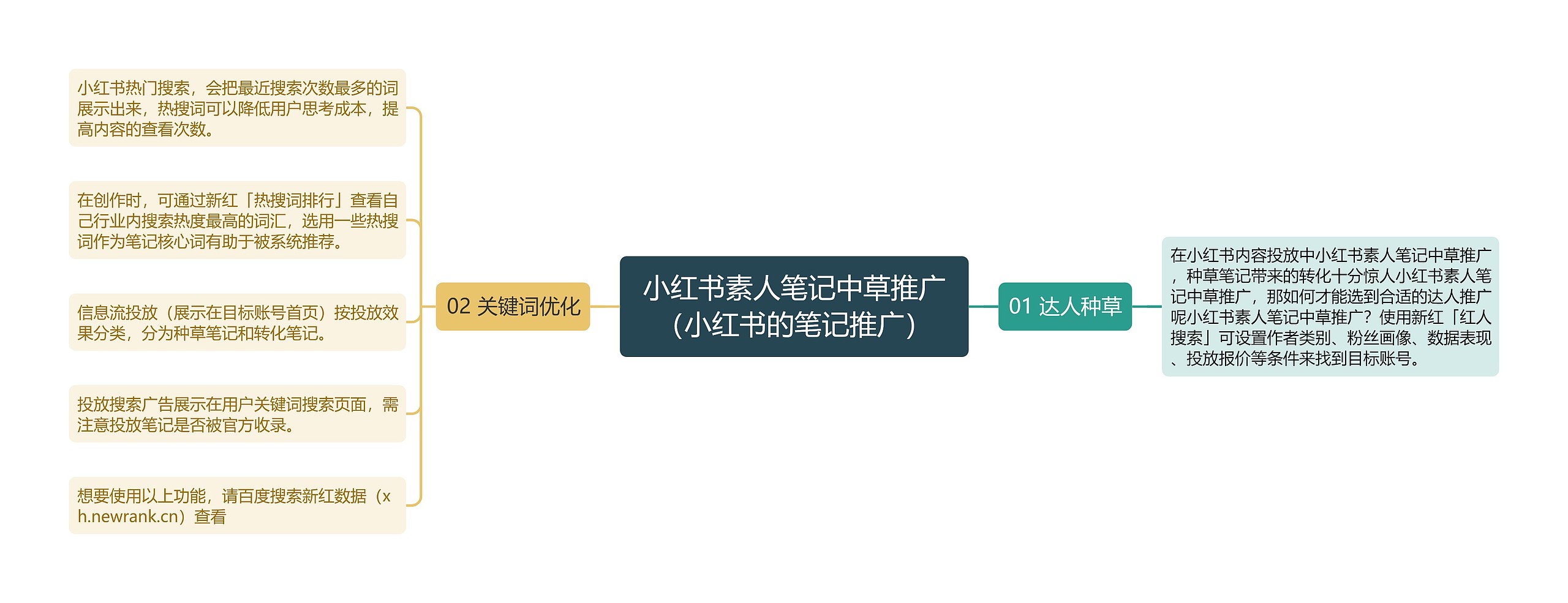 小红书素人笔记中草推广（小红书的笔记推广）思维导图