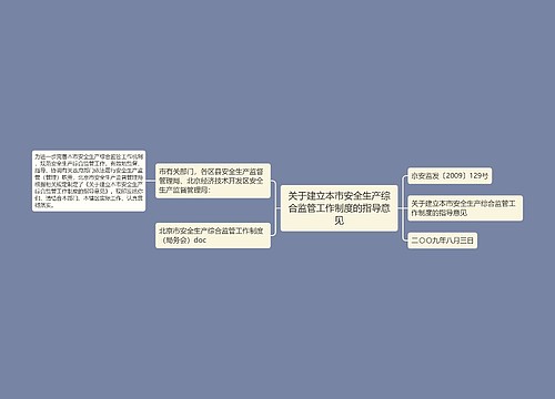 关于建立本市安全生产综合监管工作制度的指导意见