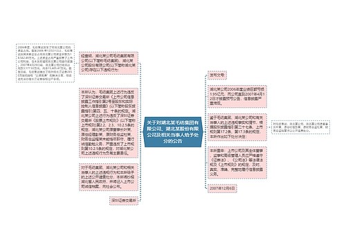 关于对湖北某毛纺集团有限公司、湖北某股份有限公司及相关当事人给予处分的公告