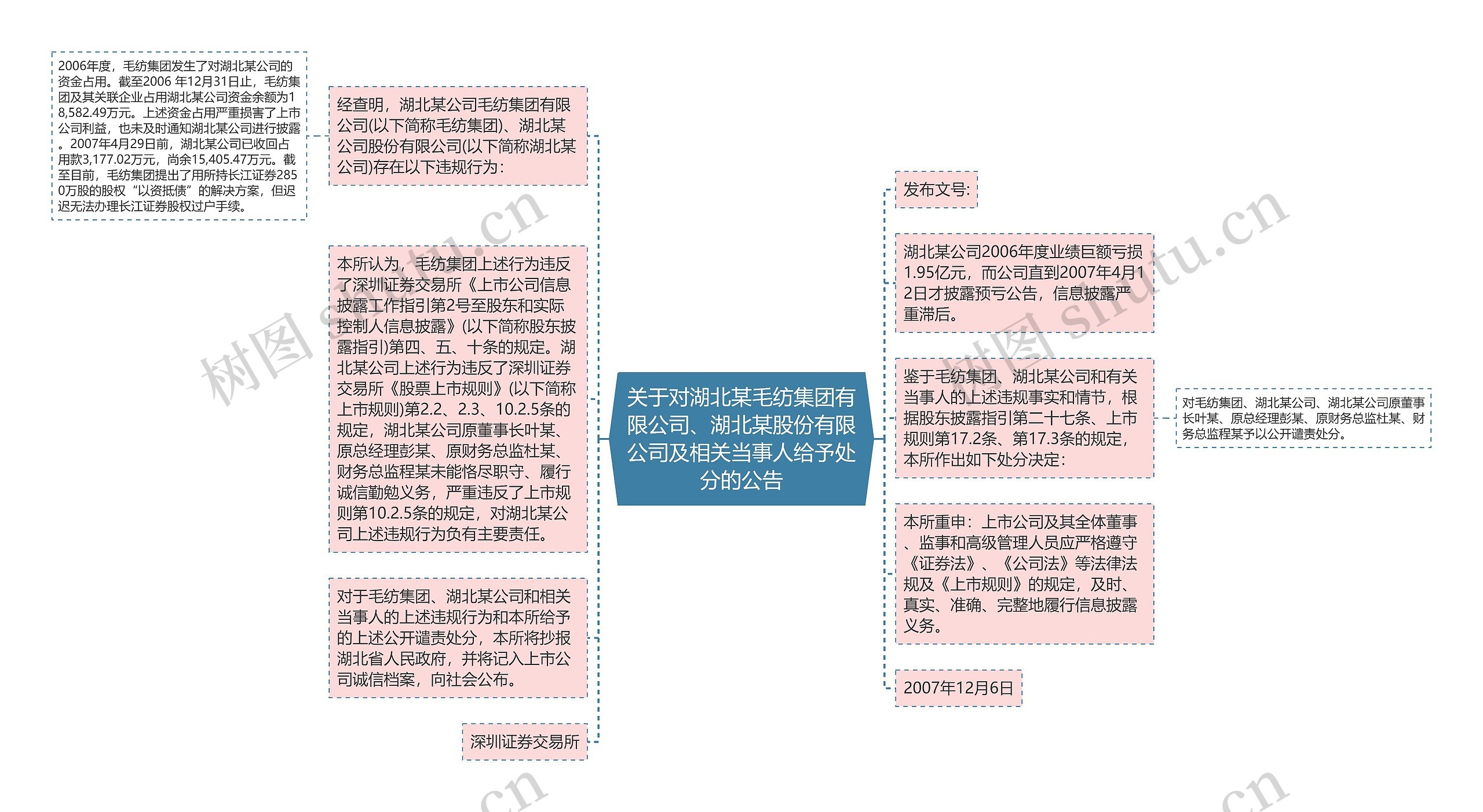 关于对湖北某毛纺集团有限公司、湖北某股份有限公司及相关当事人给予处分的公告思维导图