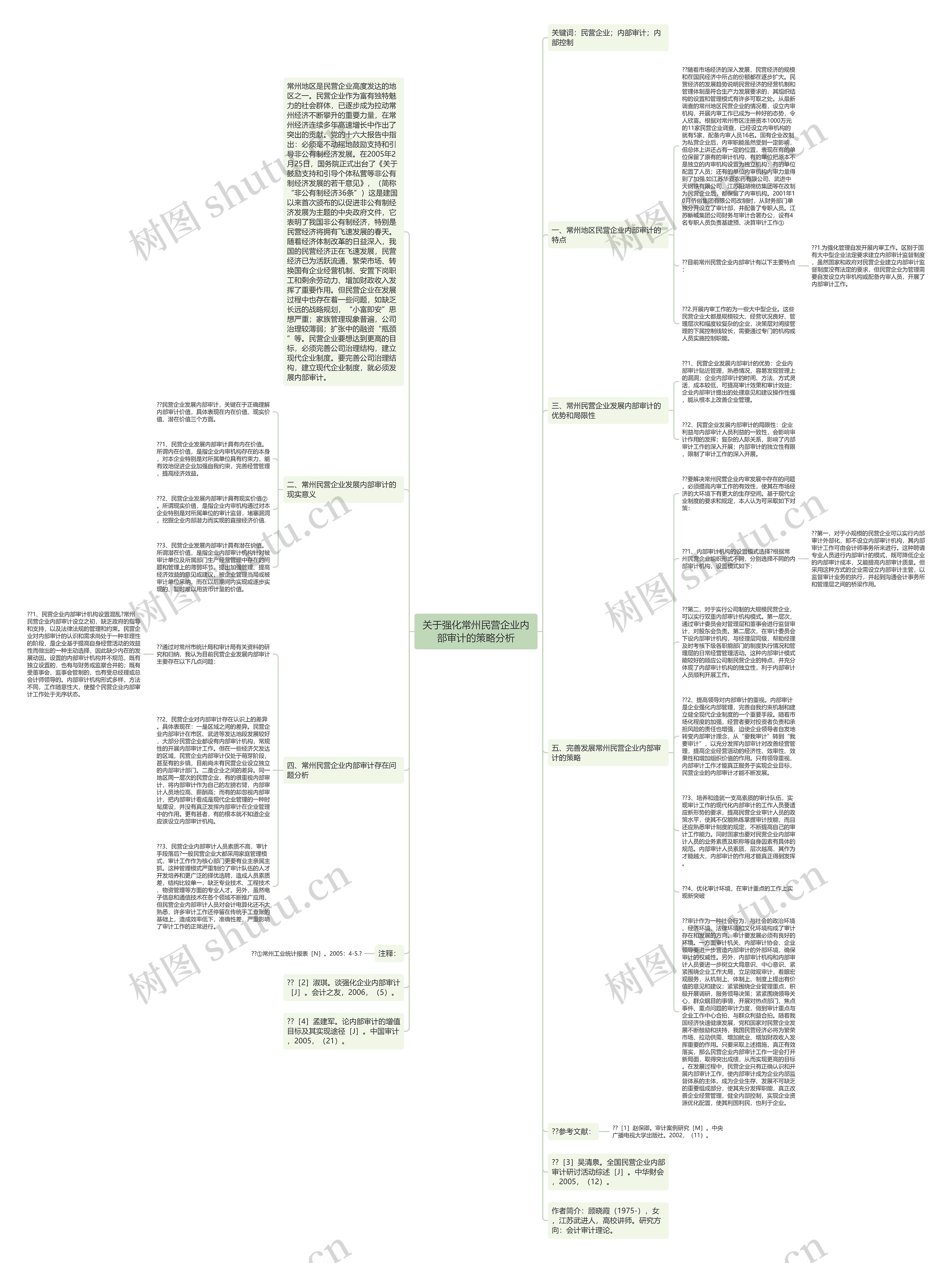 关于强化常州民营企业内部审计的策略分析思维导图