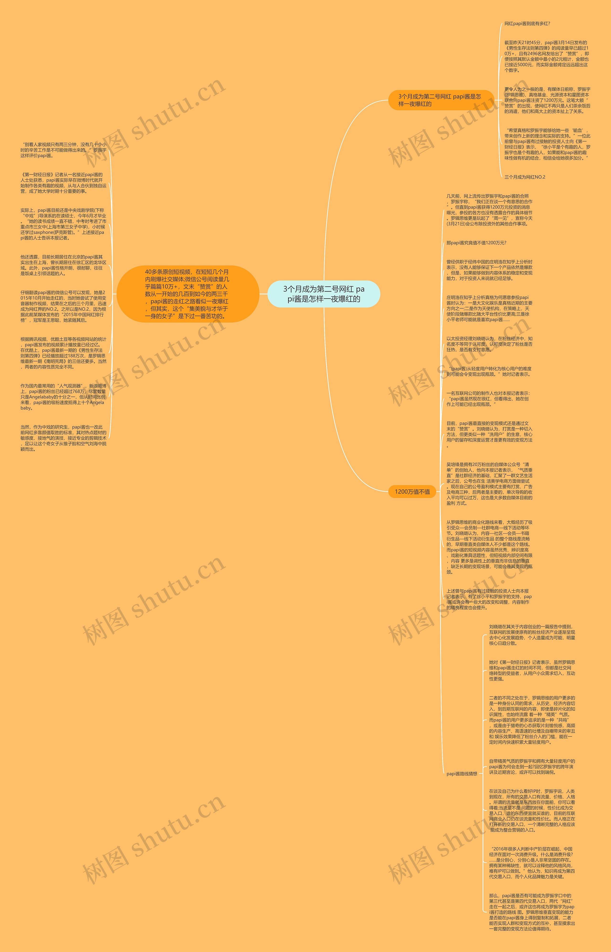 3个月成为第二号网红 papi酱是怎样一夜爆红的思维导图