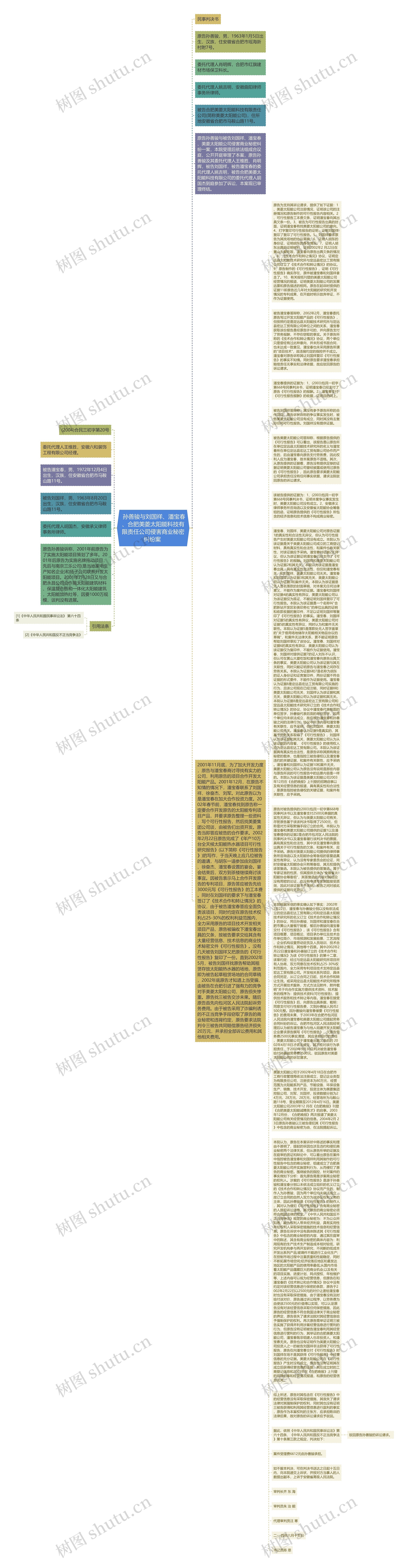  孙善骏与刘国祥、潘宝春、合肥美菱太阳能科技有限责任公司侵害商业秘密纠纷案 思维导图