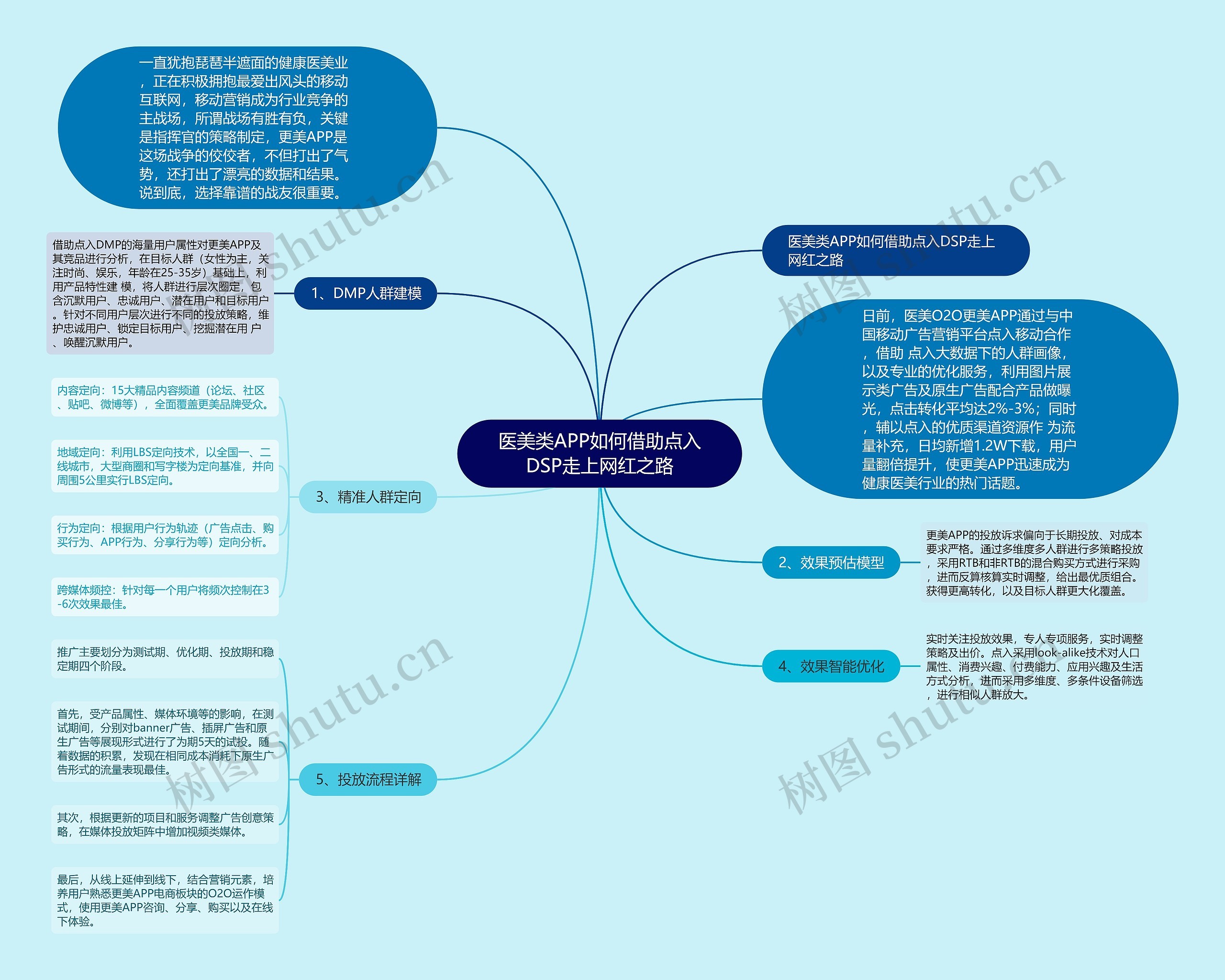 医美类APP如何借助点入DSP走上网红之路
