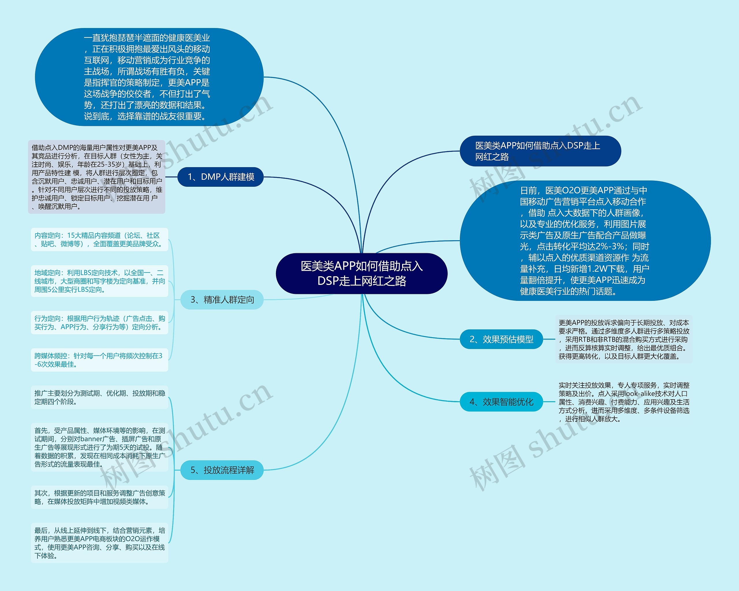 医美类APP如何借助点入DSP走上网红之路思维导图