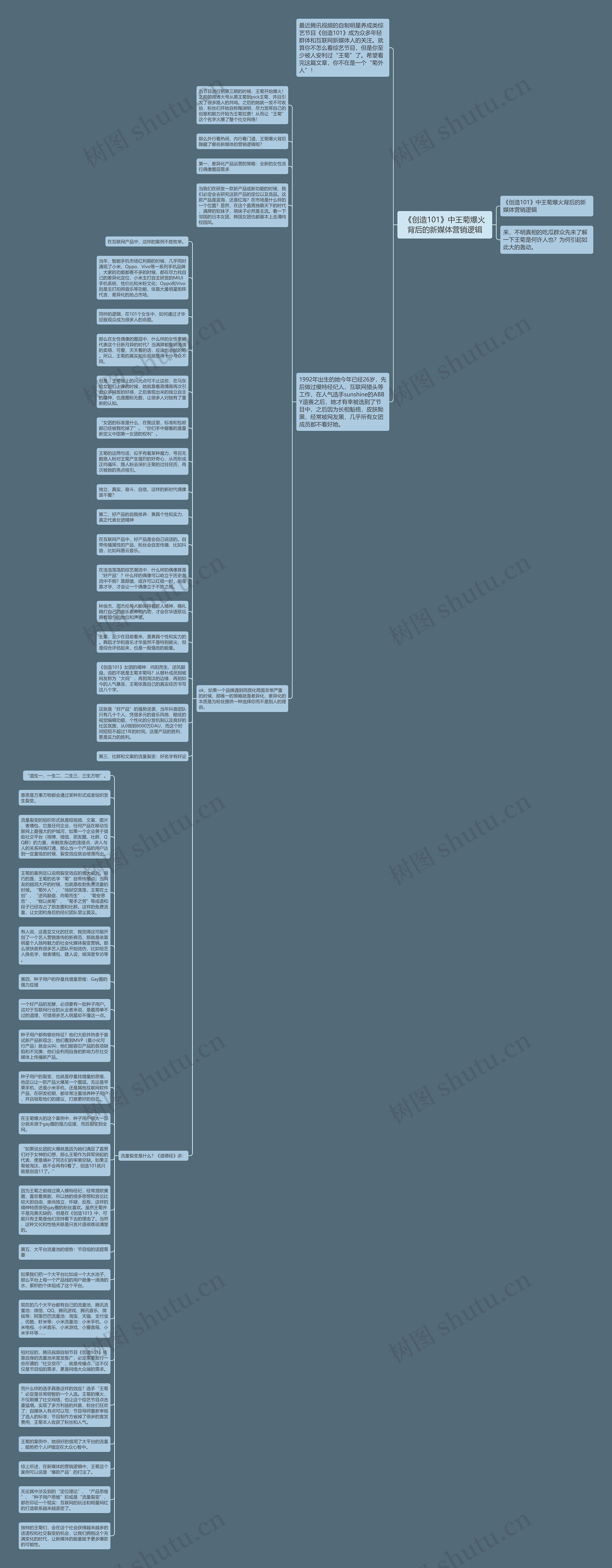 《创造101》中王菊爆火背后的新媒体营销逻辑思维导图