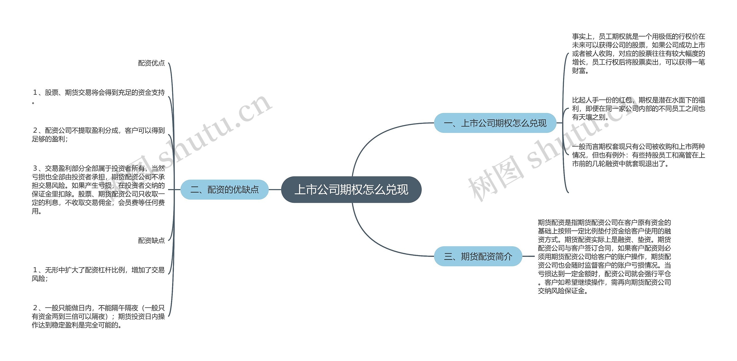 上市公司期权怎么兑现思维导图