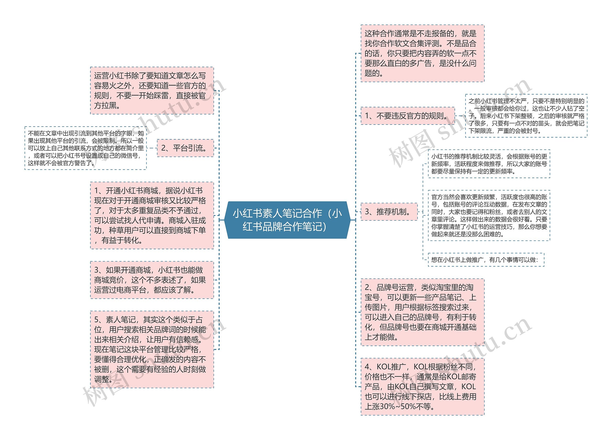 小红书素人笔记合作（小红书品牌合作笔记）思维导图