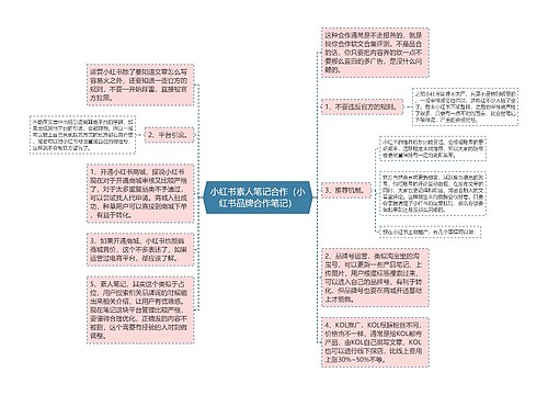 小红书素人笔记合作（小红书品牌合作笔记）