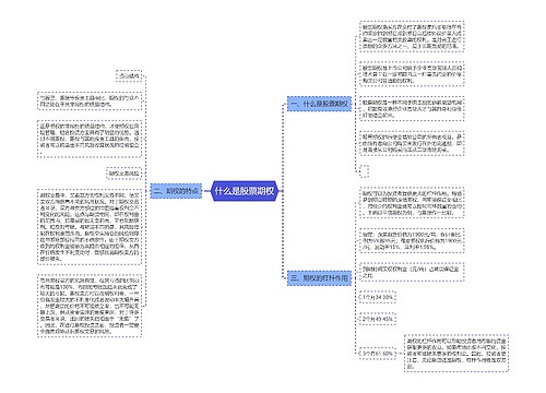 什么是股票期权