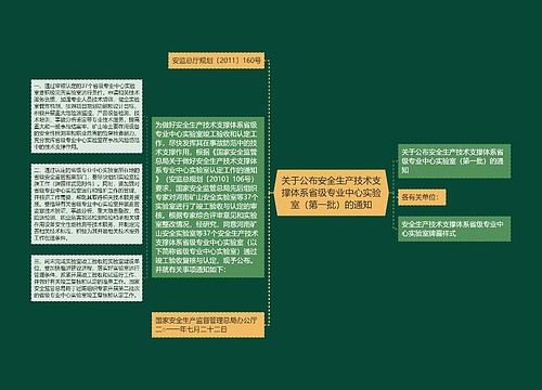 关于公布安全生产技术支撑体系省级专业中心实验室（第一批）的通知