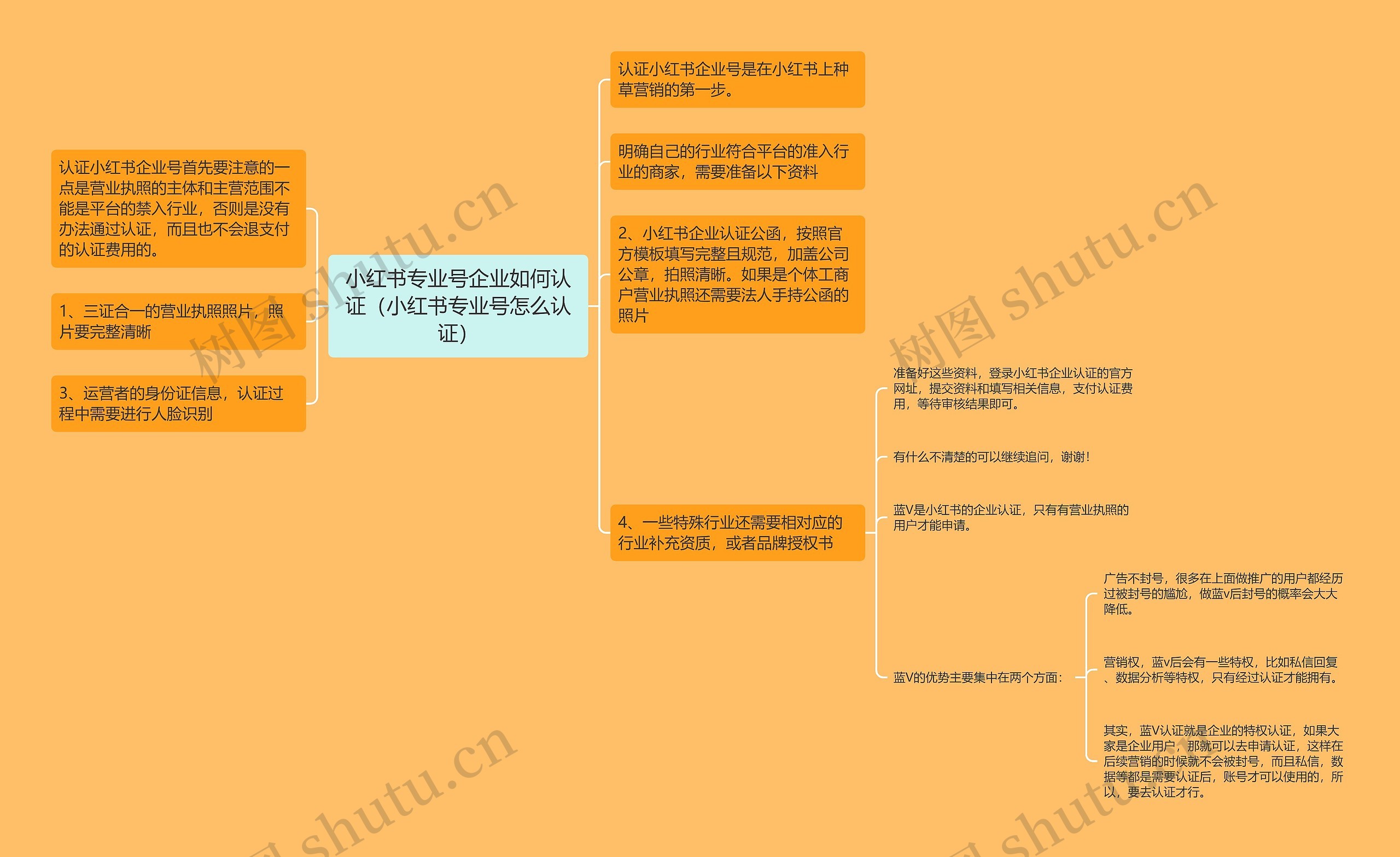 小红书专业号企业如何认证（小红书专业号怎么认证）思维导图