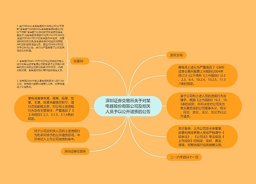 深圳证券交易所关于对某电器股份有限公司及相关人员予以公开谴责的公告