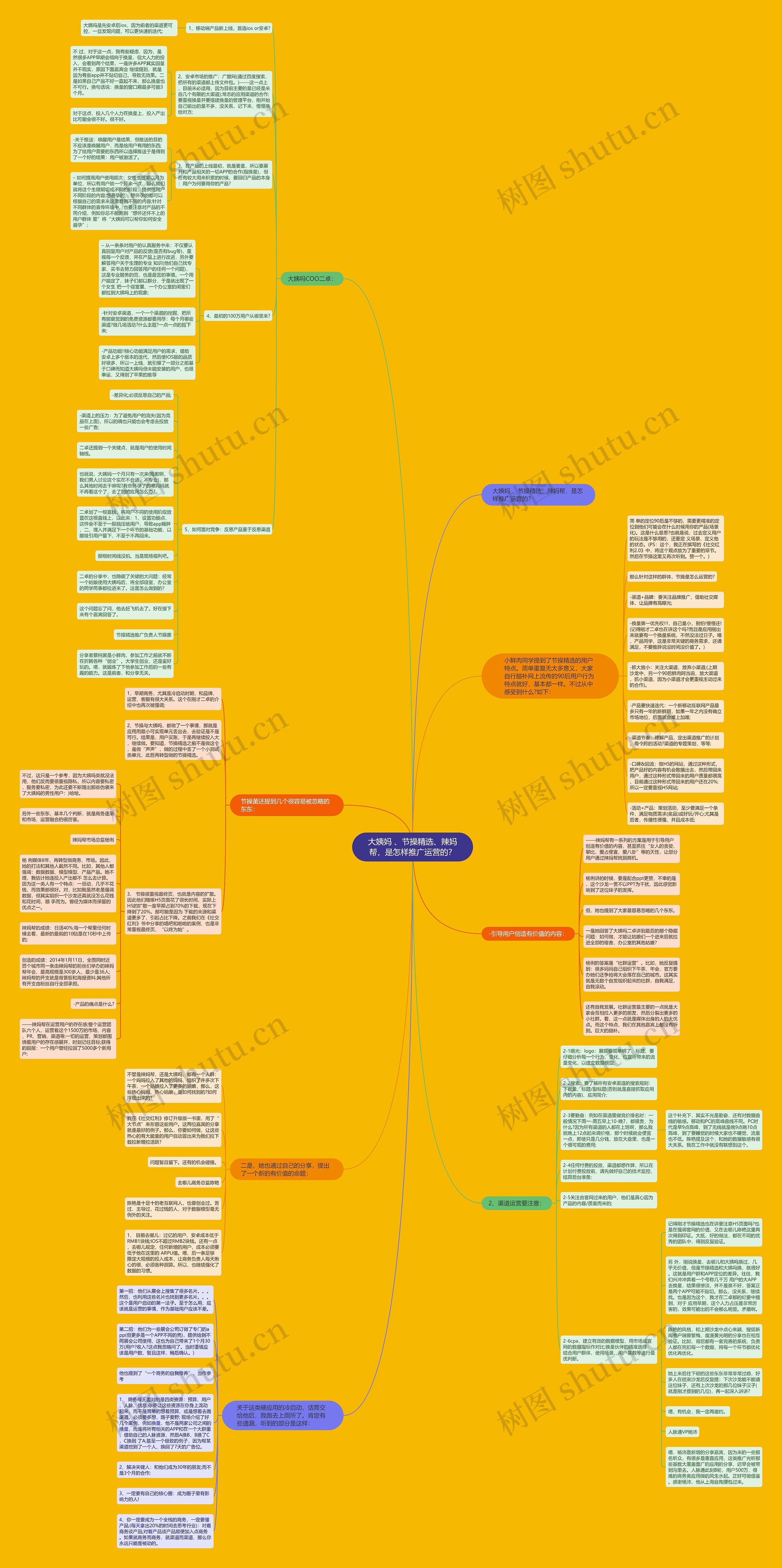 大姨妈 、节操精选、辣妈帮，是怎样推广运营的？思维导图