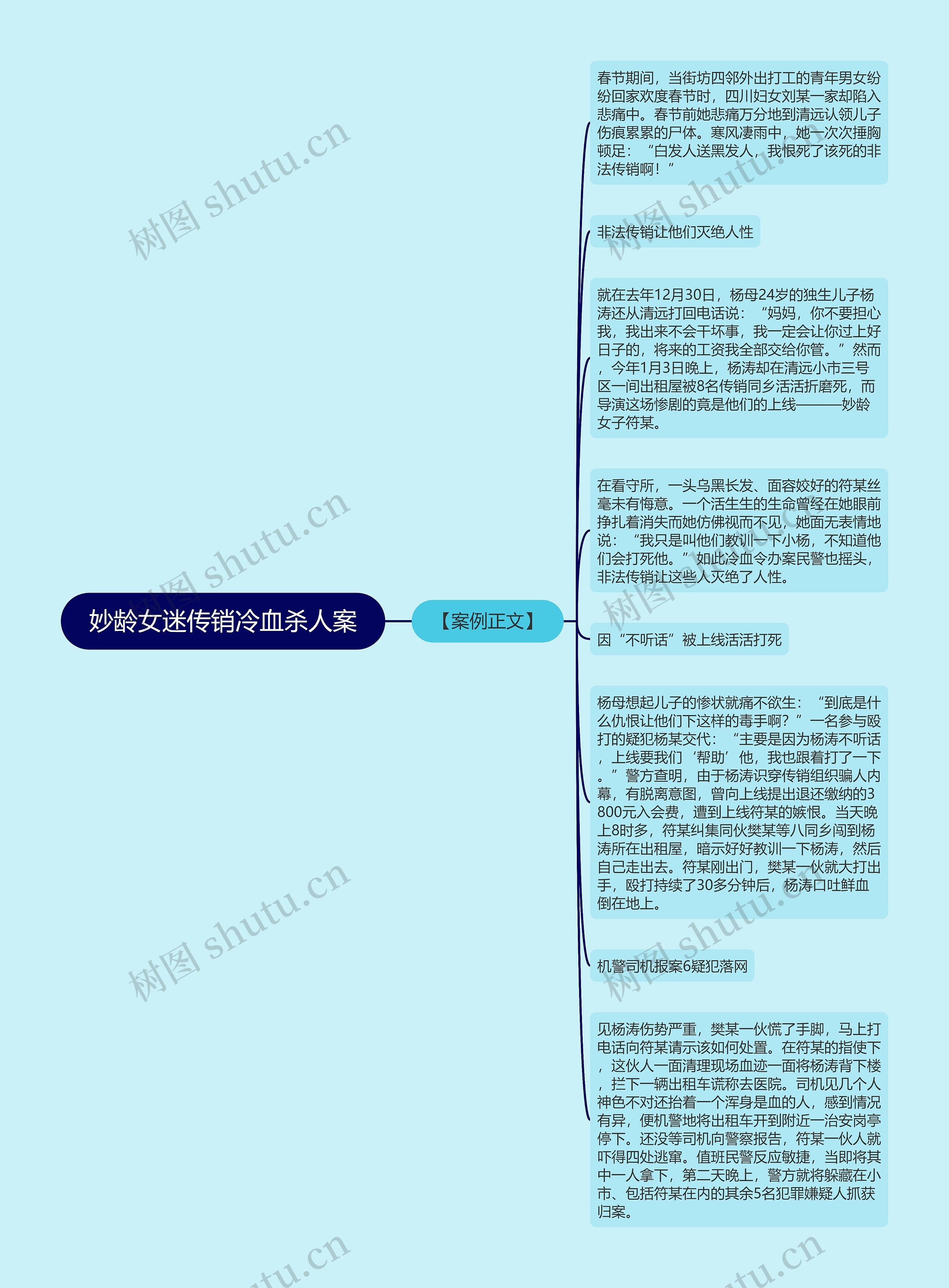 妙龄女迷传销冷血杀人案思维导图