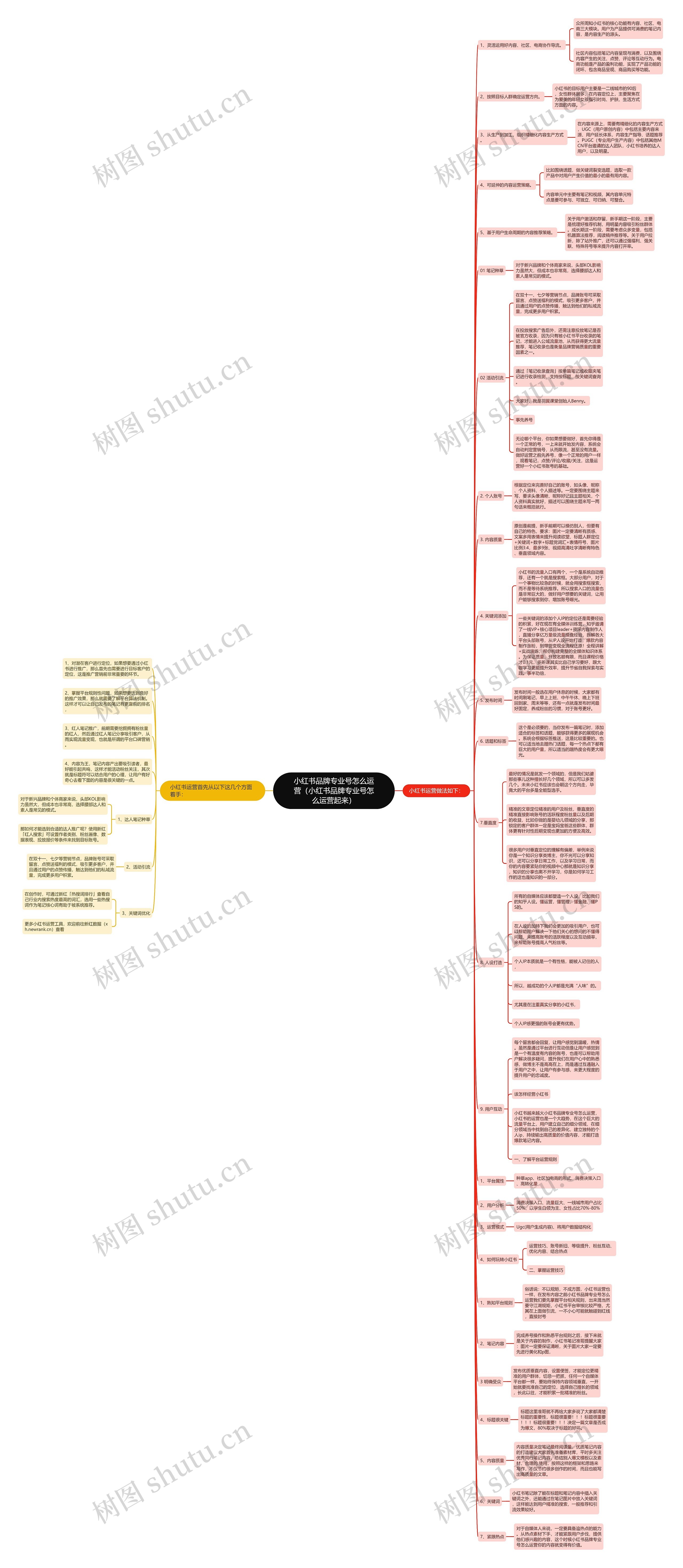 小红书品牌专业号怎么运营（小红书品牌专业号怎么运营起来）