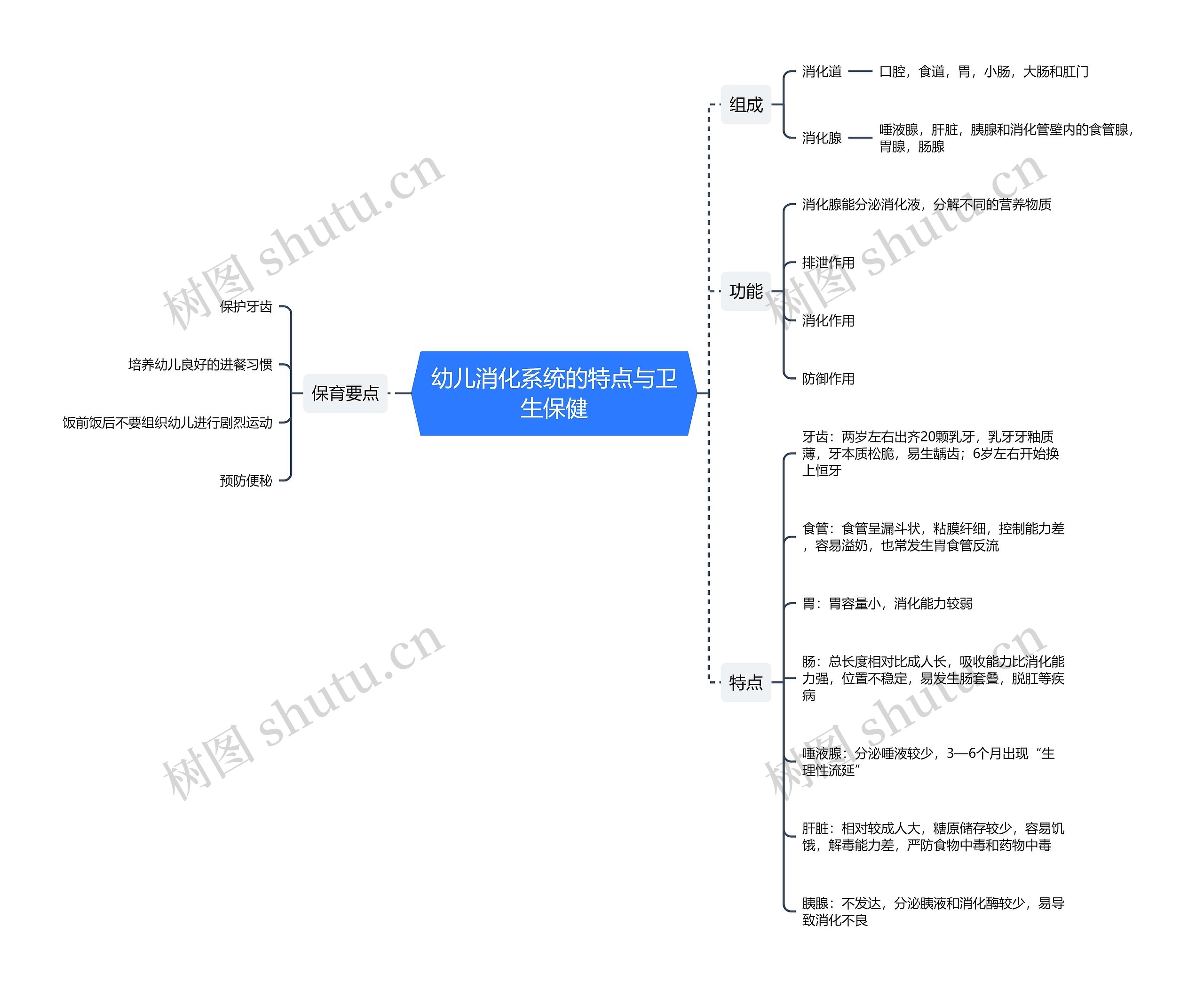 ﻿幼儿消化系统的特点与卫生保健思维导图