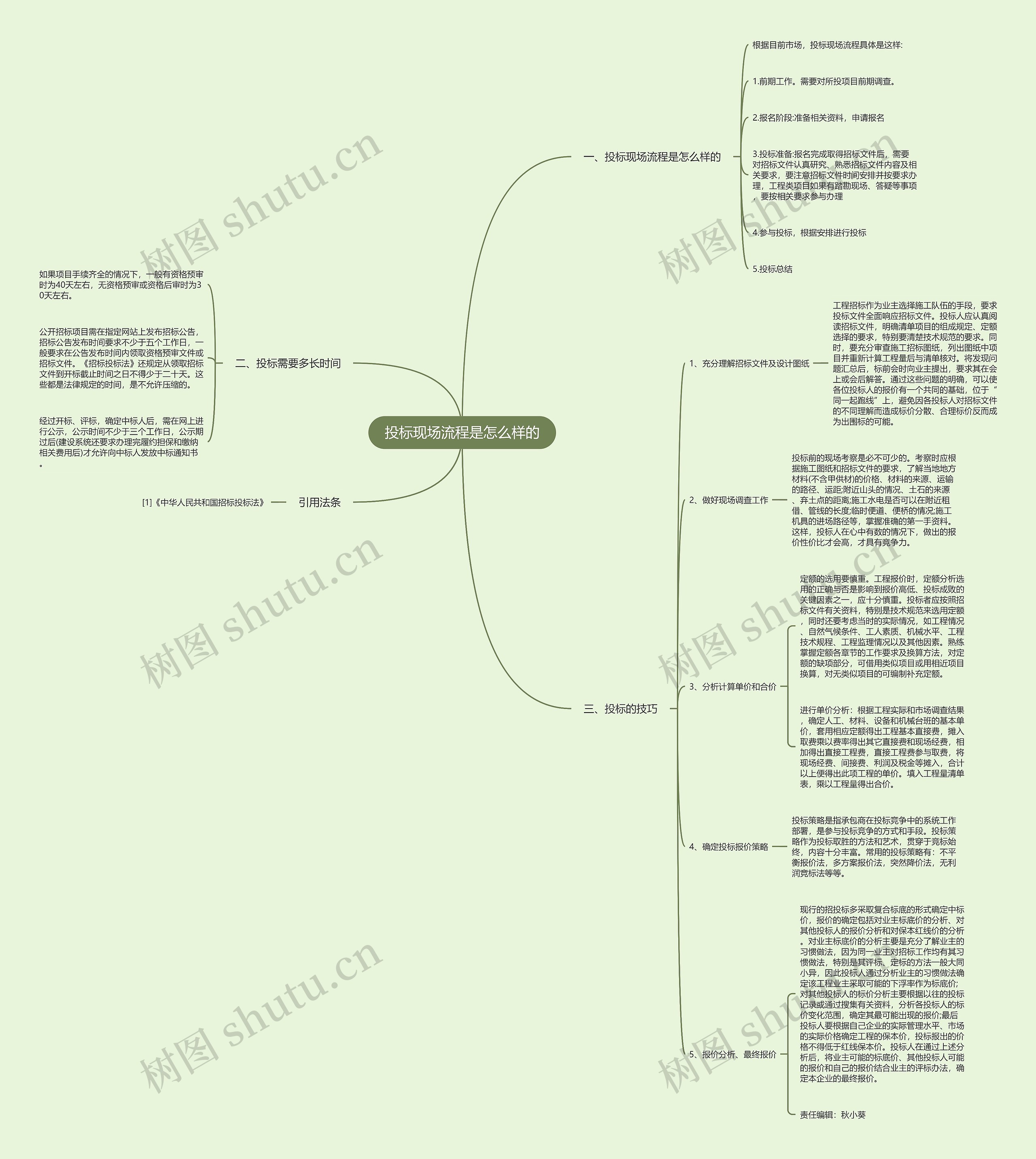 投标现场流程是怎么样的思维导图