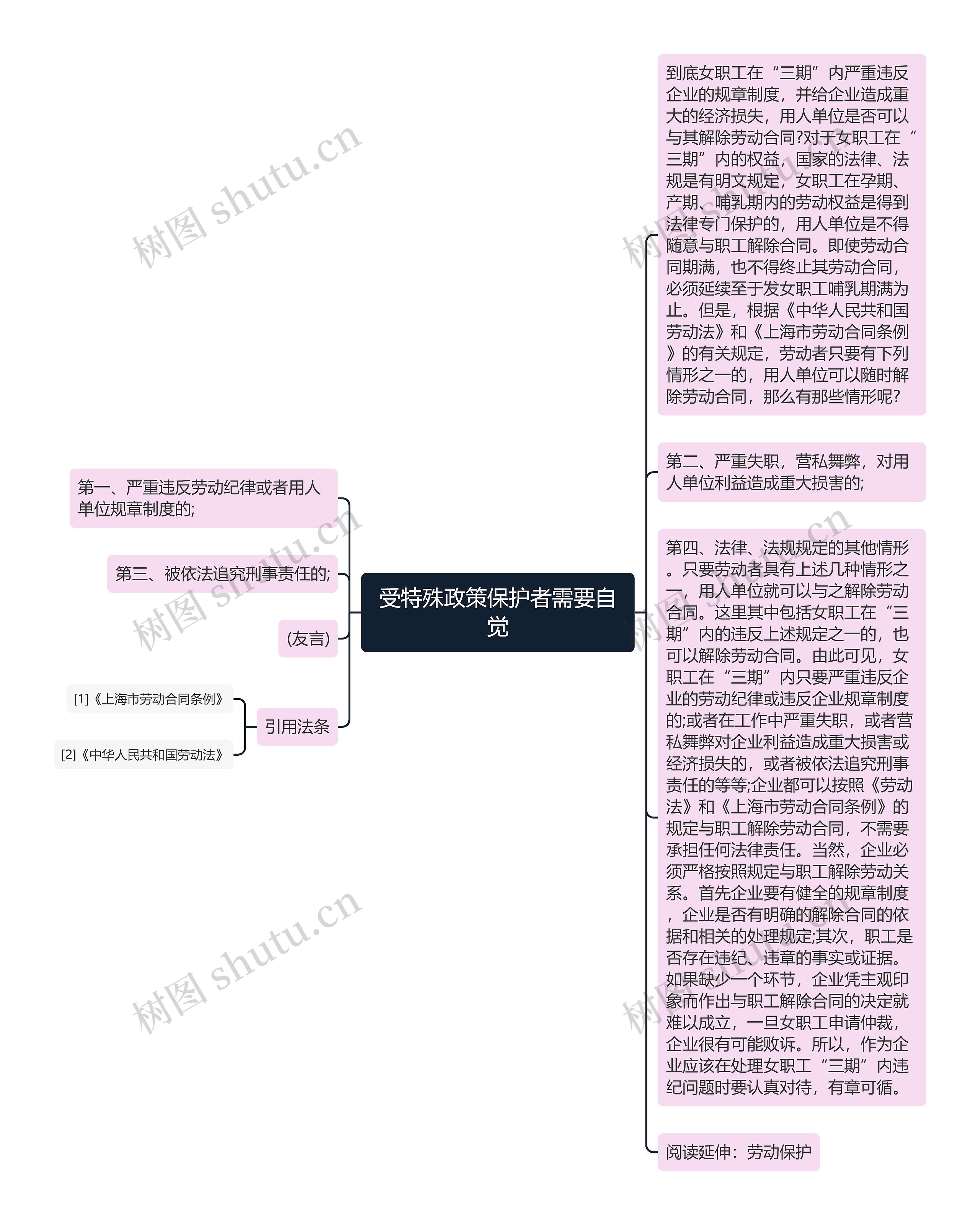 受特殊政策保护者需要自觉思维导图