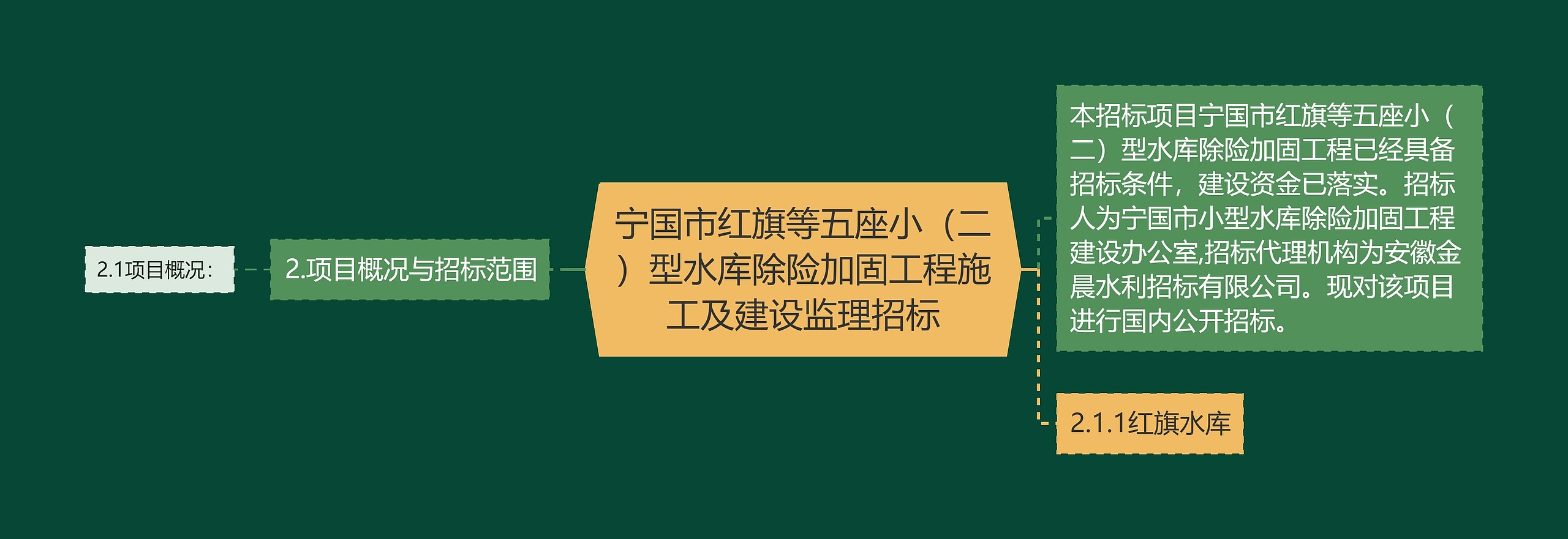 宁国市红旗等五座小（二）型水库除险加固工程施工及建设监理招标思维导图