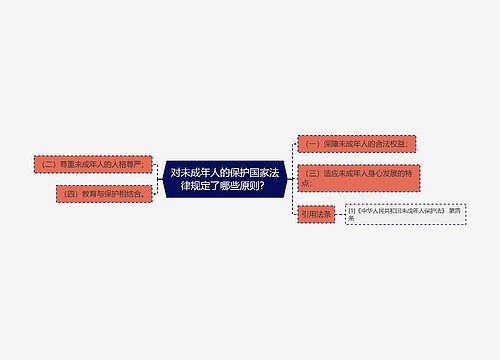 对未成年人的保护国家法律规定了哪些原则？