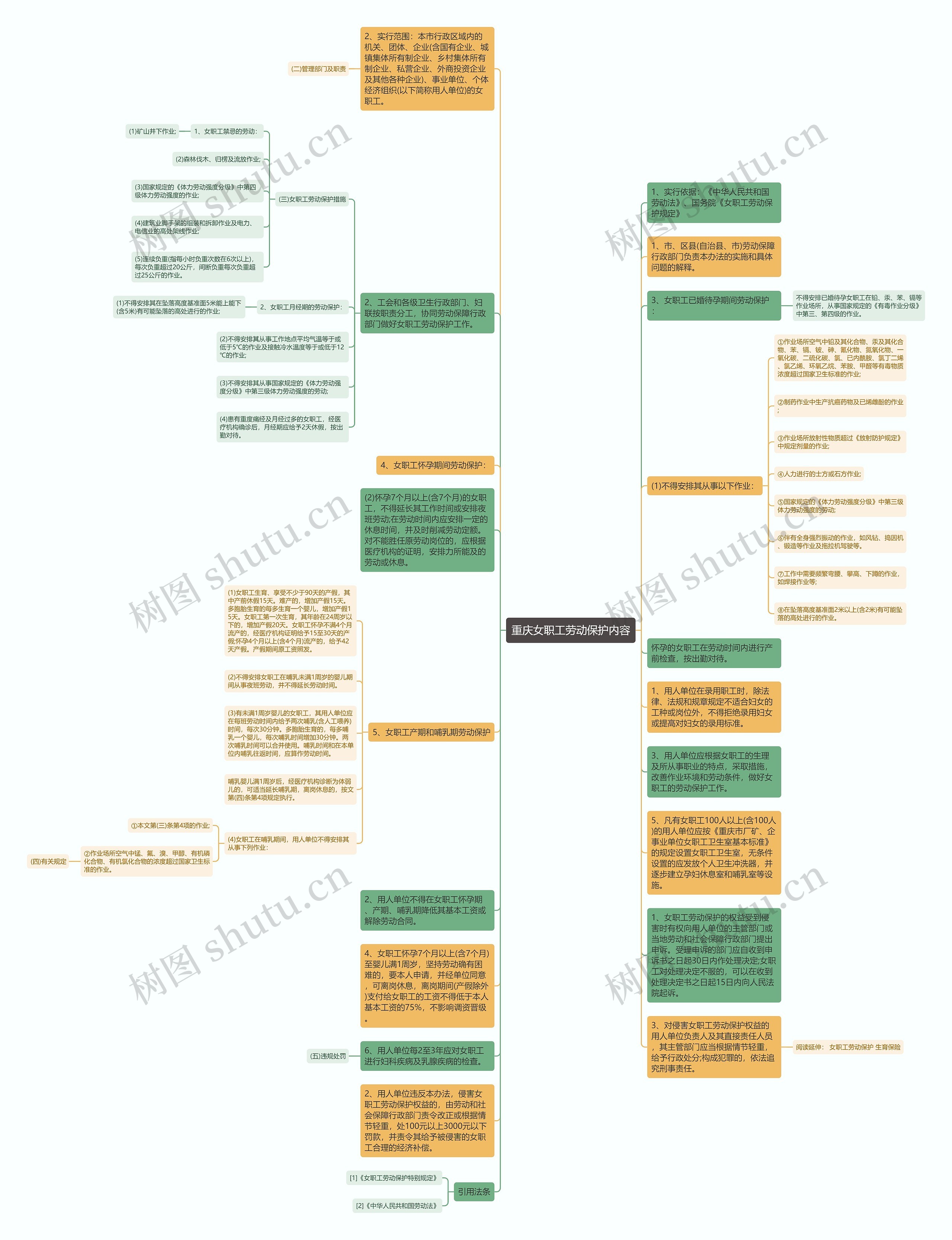 重庆女职工劳动保护内容思维导图