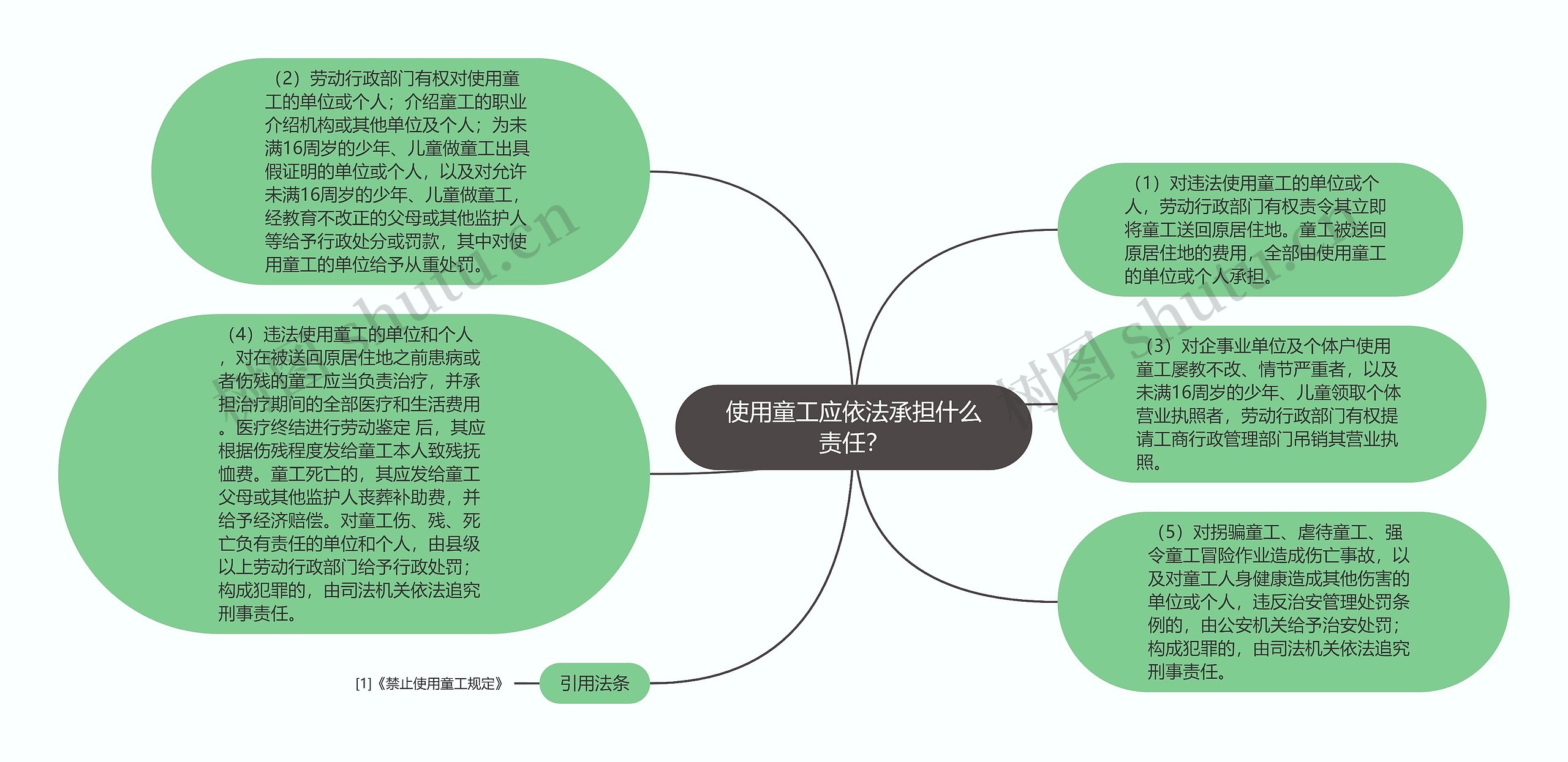 使用童工应依法承担什么责任？思维导图