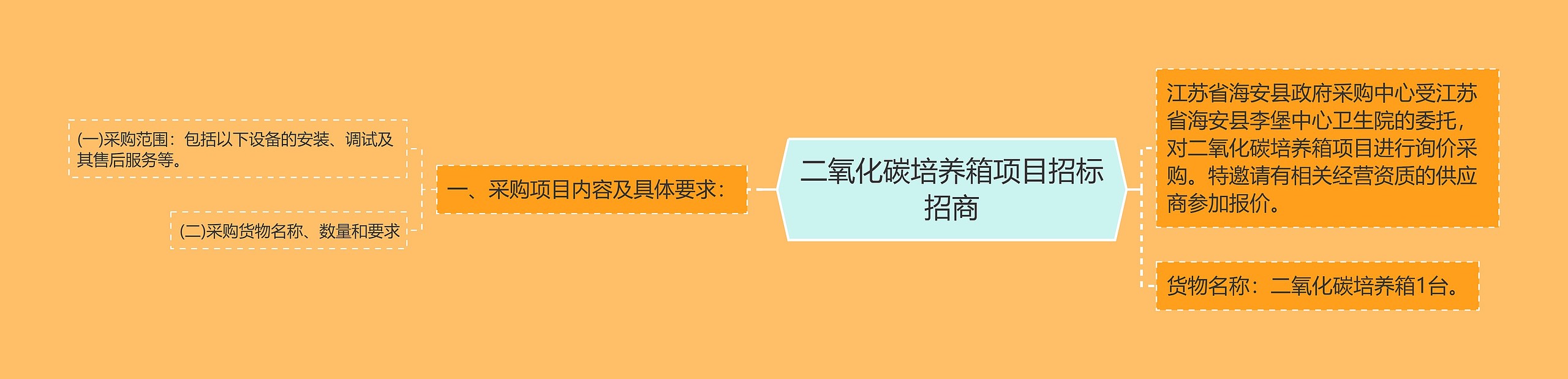 二氧化碳培养箱项目招标招商思维导图