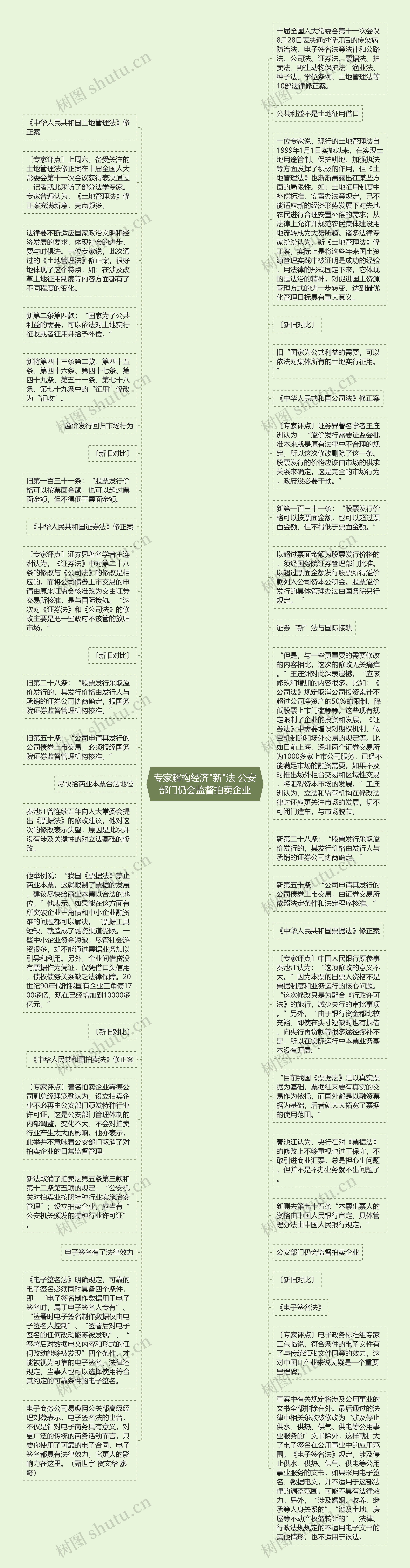 专家解构经济"新"法 公安部门仍会监督拍卖企业思维导图