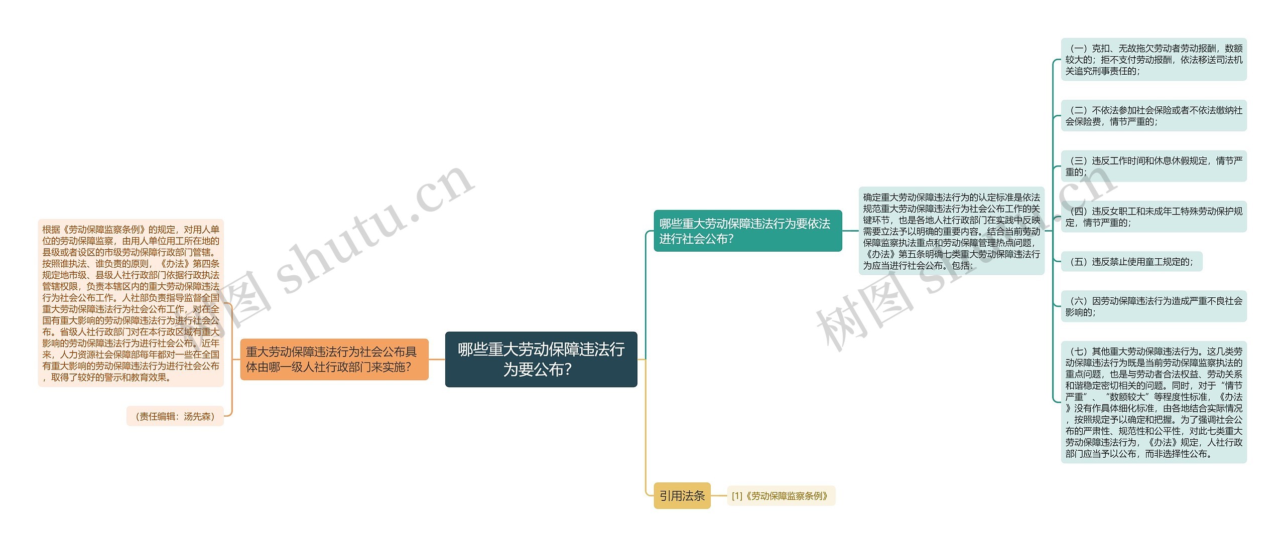 哪些重大劳动保障违法行为要公布？思维导图