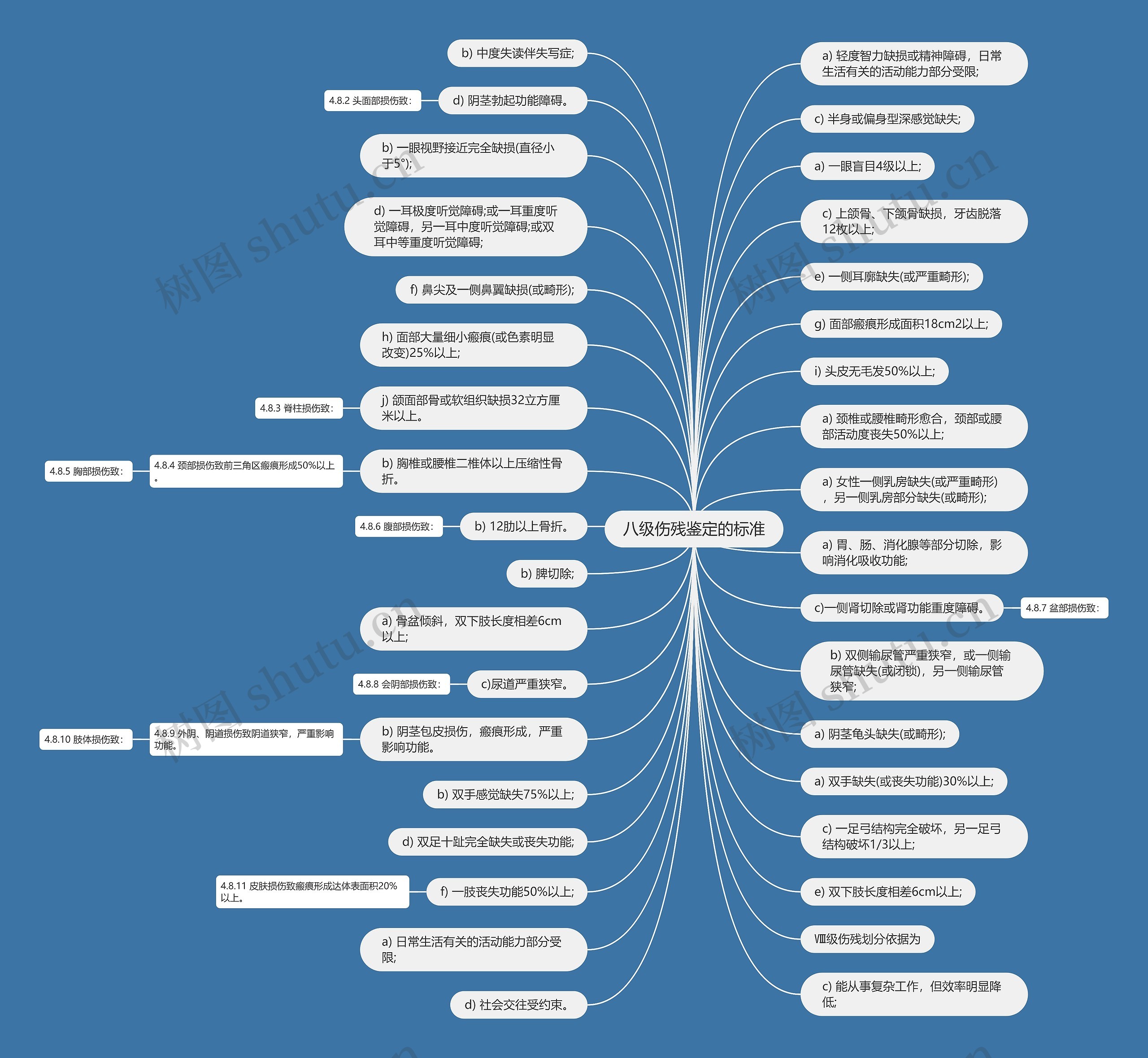 八级伤残鉴定的标准思维导图