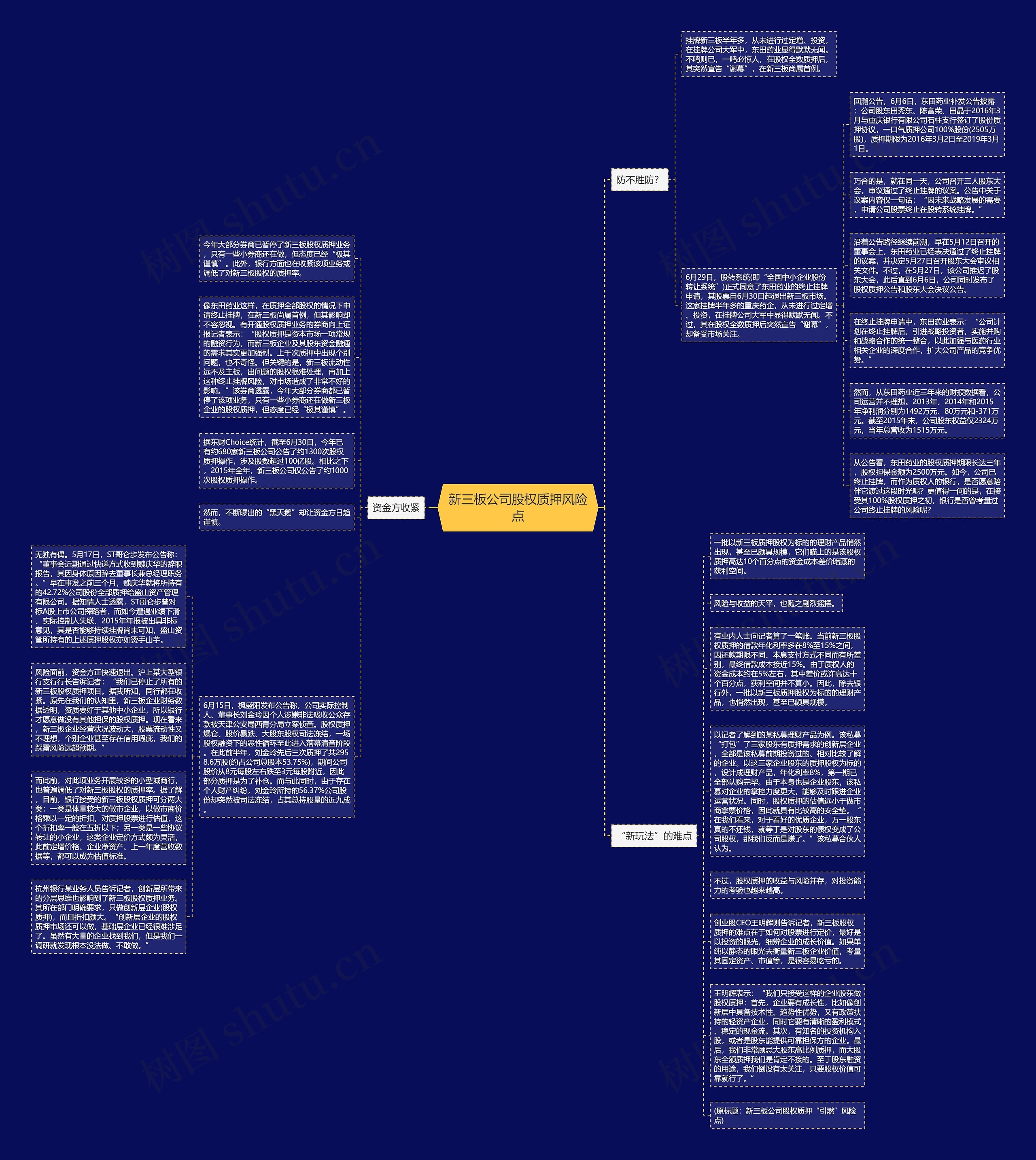 新三板公司股权质押风险点思维导图