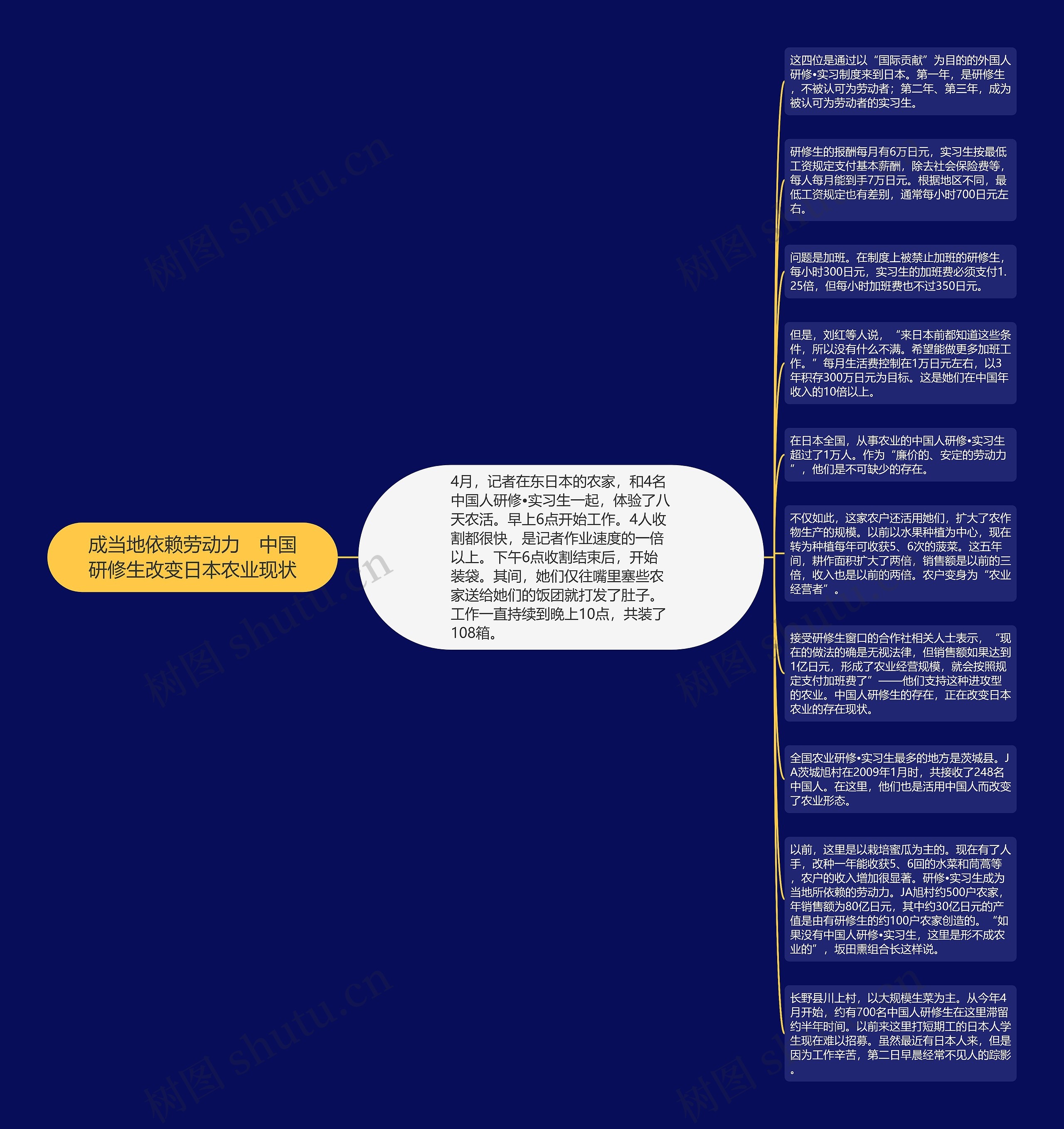 成当地依赖劳动力　中国研修生改变日本农业现状