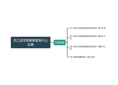 员工违支规章制度有什么后果